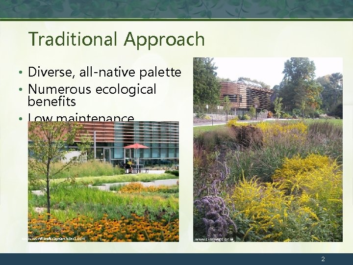 Traditional Approach • Diverse, all-native palette • Numerous ecological benefits • Low maintenance www.