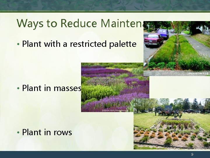 Ways to Reduce Maintenance • Plant with a restricted palette www. restreets. org •