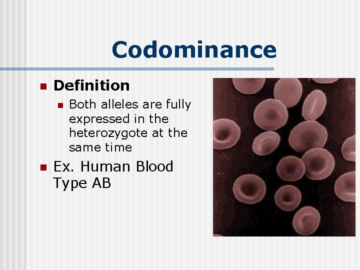 Codominance n Definition n n Both alleles are fully expressed in the heterozygote at