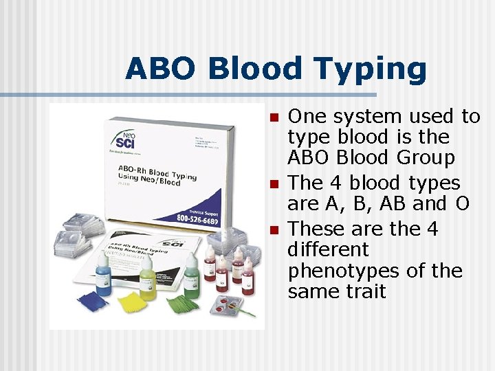 ABO Blood Typing n n n One system used to type blood is the