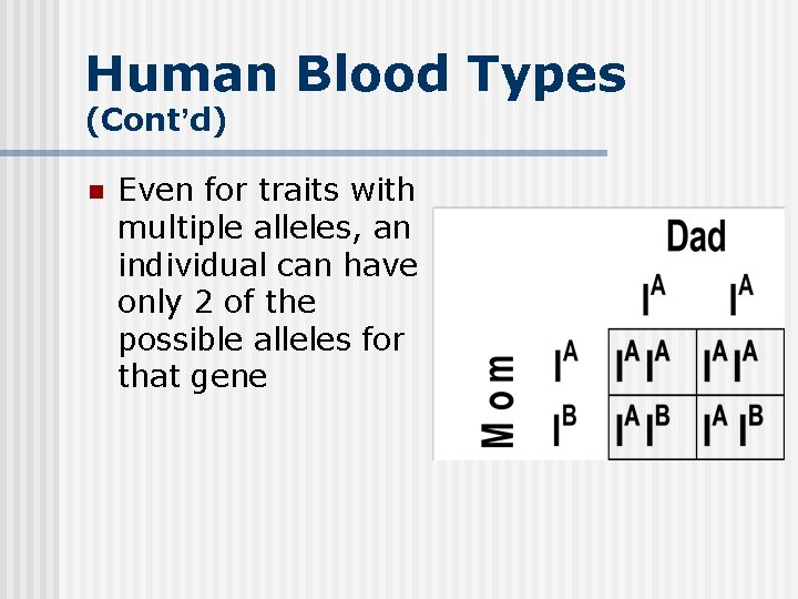 Human Blood Types (Cont’d) n Even for traits with multiple alleles, an individual can