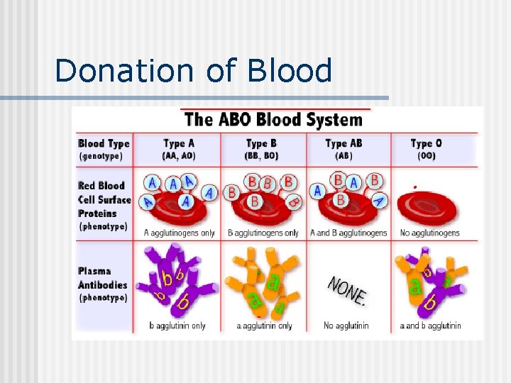 Donation of Blood 