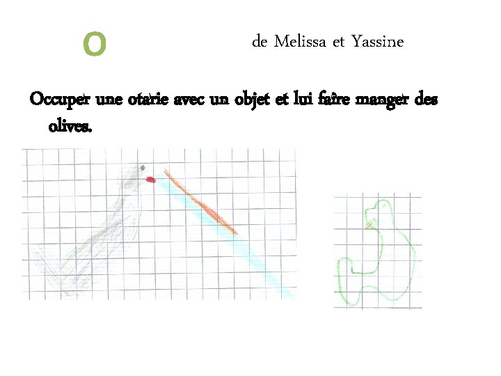 O de Melissa et Yassine Occuper une otarie avec un objet et lui faire