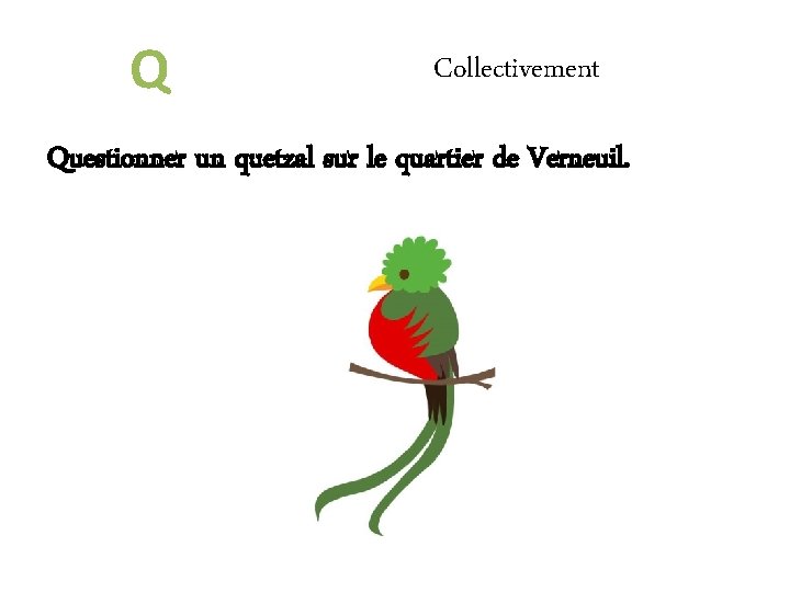 Q Collectivement Questionner un quetzal sur le quartier de Verneuil. 