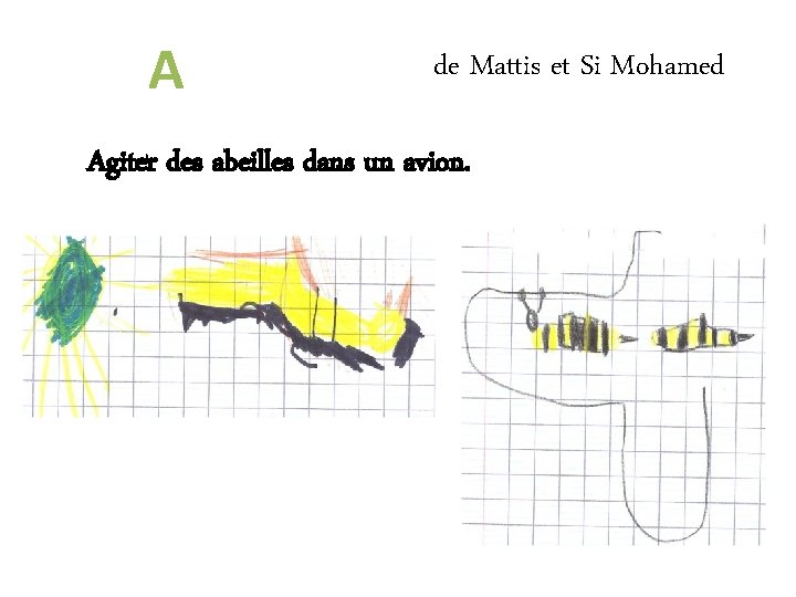 A de Mattis et Si Mohamed Agiter des abeilles dans un avion. 