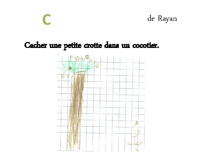 C de Rayan Cacher une petite crotte dans un cocotier. 