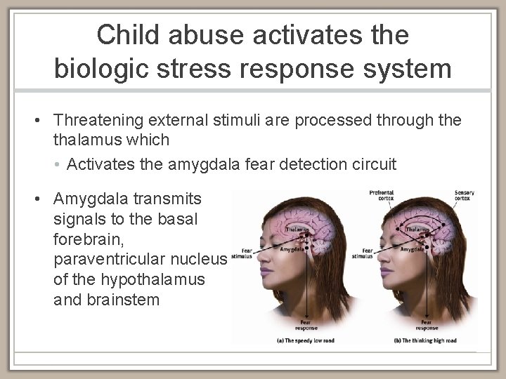 Child abuse activates the biologic stress response system • Threatening external stimuli are processed