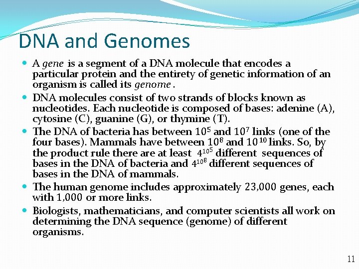 DNA and Genomes A gene is a segment of a DNA molecule that encodes