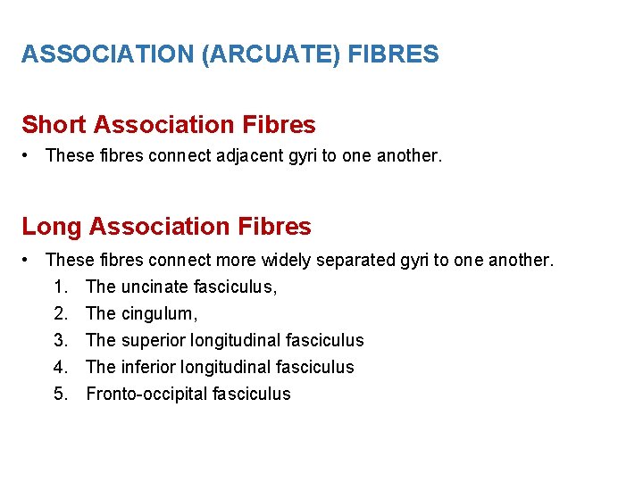 ASSOCIATION (ARCUATE) FIBRES Short Association Fibres • These fibres connect adjacent gyri to one