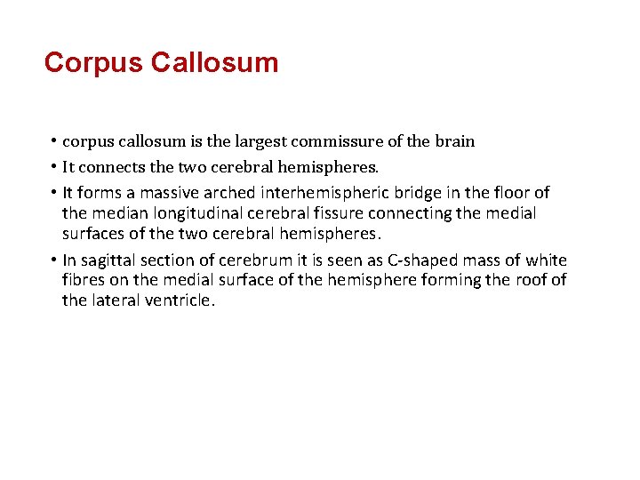 Corpus Callosum • corpus callosum is the largest commissure of the brain • It