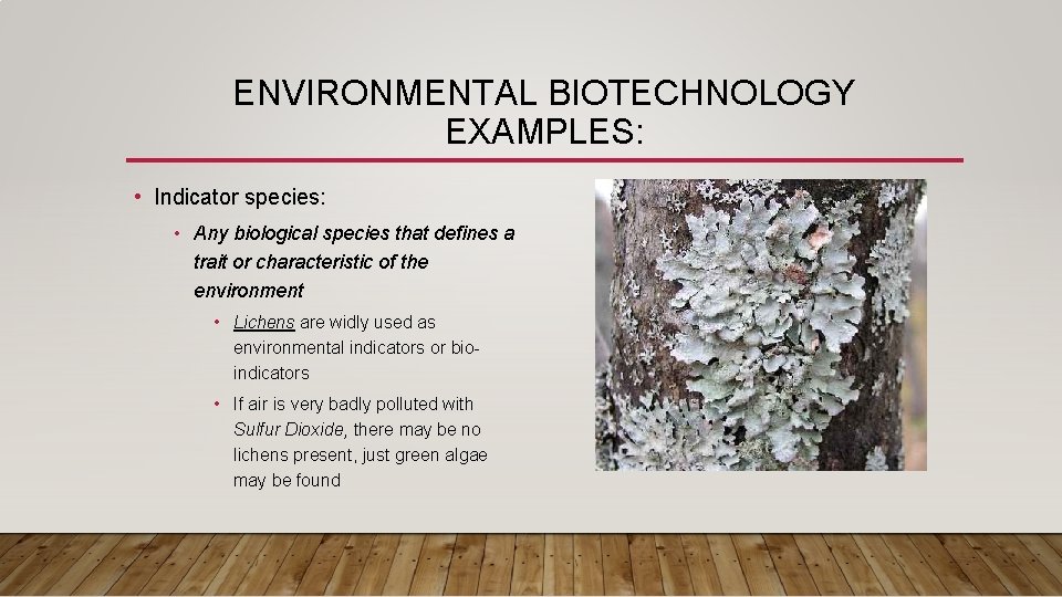ENVIRONMENTAL BIOTECHNOLOGY EXAMPLES: • Indicator species: • Any biological species that defines a trait