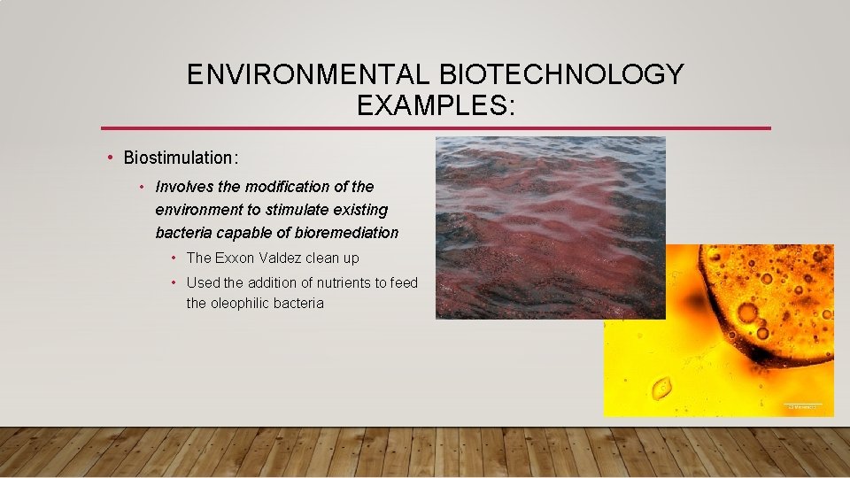 ENVIRONMENTAL BIOTECHNOLOGY EXAMPLES: • Biostimulation: • Involves the modification of the environment to stimulate