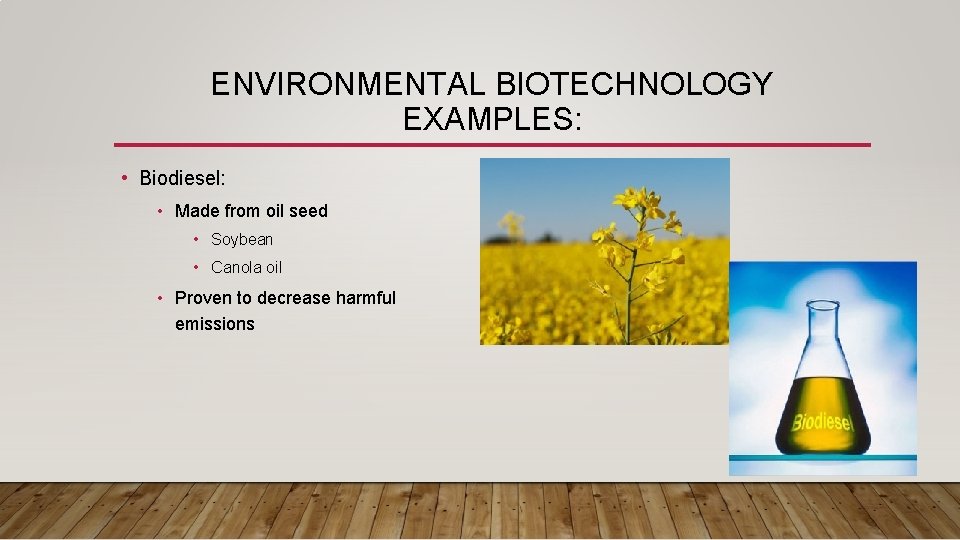 ENVIRONMENTAL BIOTECHNOLOGY EXAMPLES: • Biodiesel: • Made from oil seed • Soybean • Canola