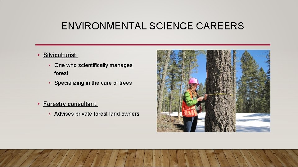 ENVIRONMENTAL SCIENCE CAREERS • Silviculturist: • One who scientifically manages forest • Specializing in