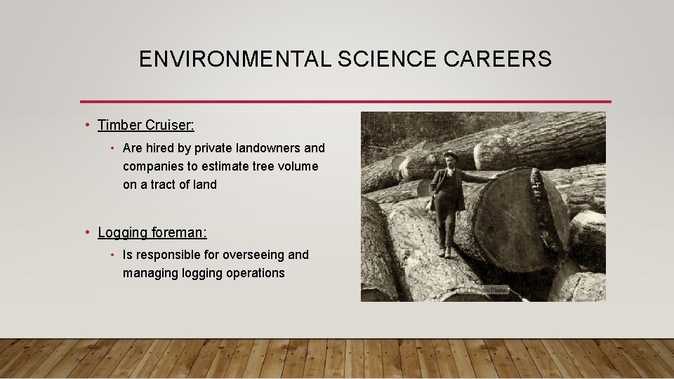 ENVIRONMENTAL SCIENCE CAREERS • Timber Cruiser: • Are hired by private landowners and companies