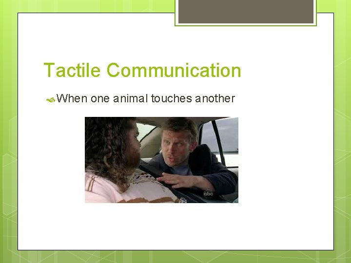 Tactile Communication When one animal touches another 