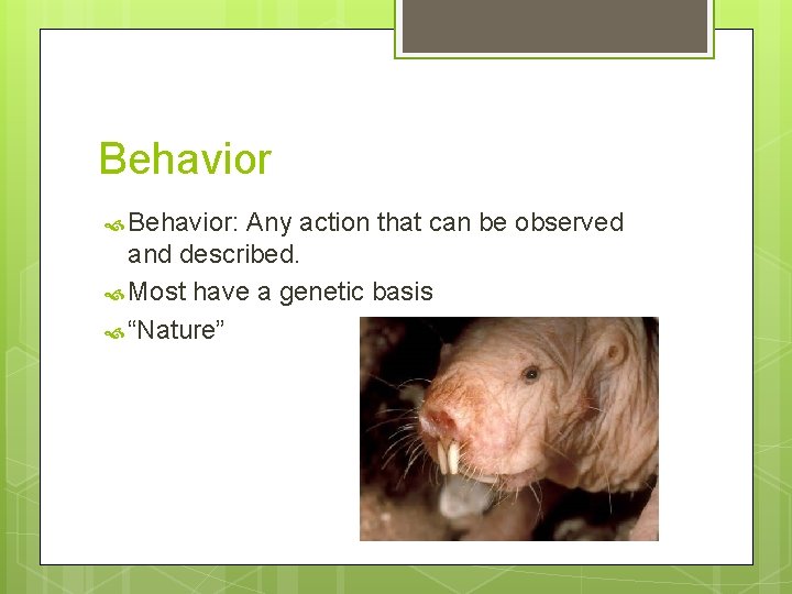 Behavior Behavior: Any action that can be observed and described. Most have a genetic