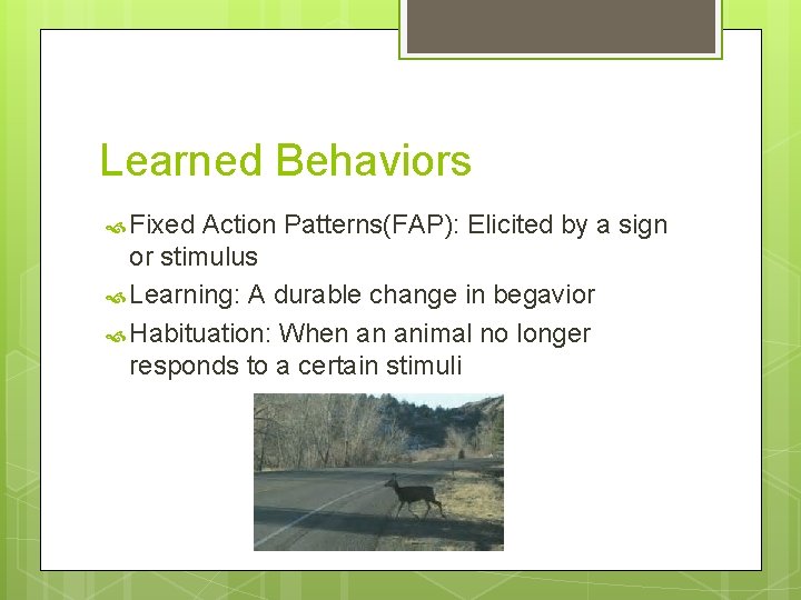Learned Behaviors Fixed Action Patterns(FAP): Elicited by a sign or stimulus Learning: A durable
