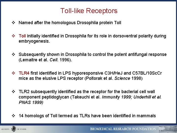 Toll-like Receptors v Named after the homologous Drosophila protein Toll v Toll initially identified