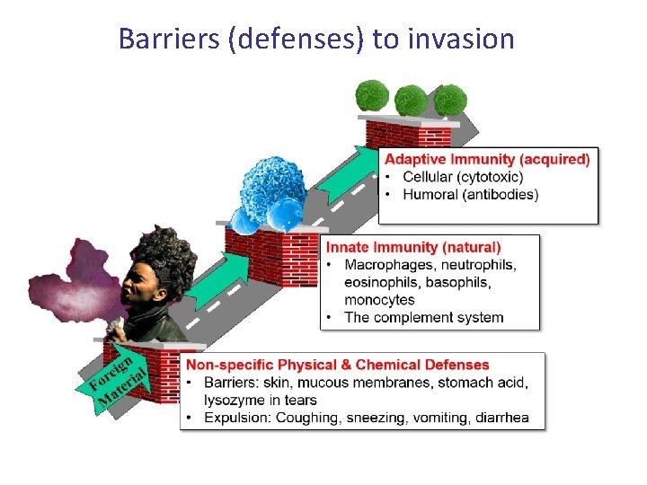 Barriers (defenses) to invasion 