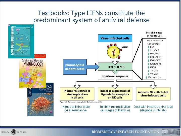 Textbooks: Type I IFNs constitute the predominant system of antiviral defense IFN-stimulated genes (ISGs)