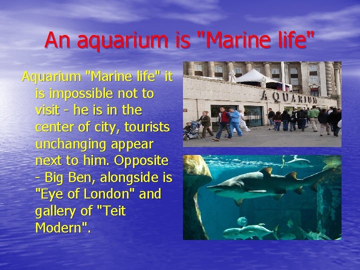 An aquarium is "Marine life" Aquarium "Marine life" it is impossible not to visit