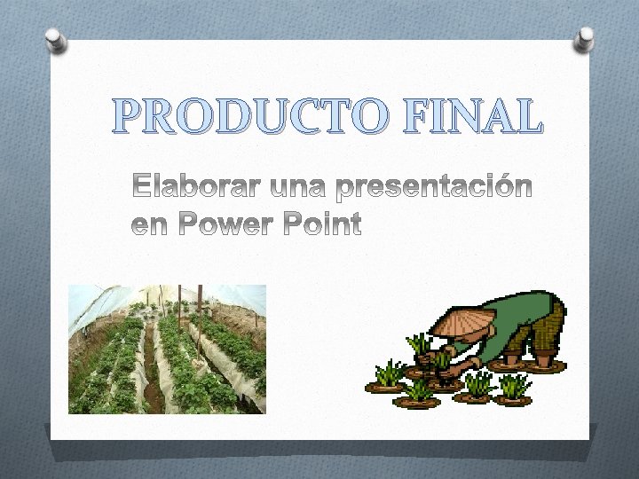 PRODUCTO FINAL 