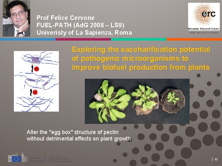 Prof Felice Cervone FUEL-PATH (Ad. G 2008 – LS 9) Univeristy of La Sapienza,