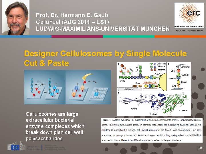 Prof. Dr. Hermann E. Gaub Cellu. Fuel (Ad. G 2011 – LS 1) LUDWIG-MAXIMILIANS-UNIVERSITÄT