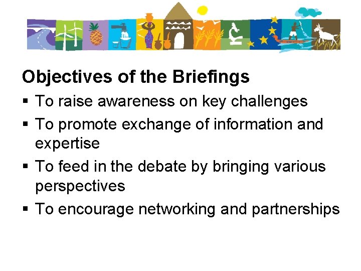 Objectives of the Briefings § To raise awareness on key challenges § To promote