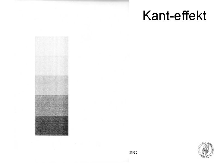 Kant-effekt 33 Fysisk institutt - Rikshospitalet 