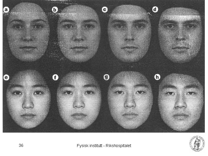 36 Fysisk institutt - Rikshospitalet 