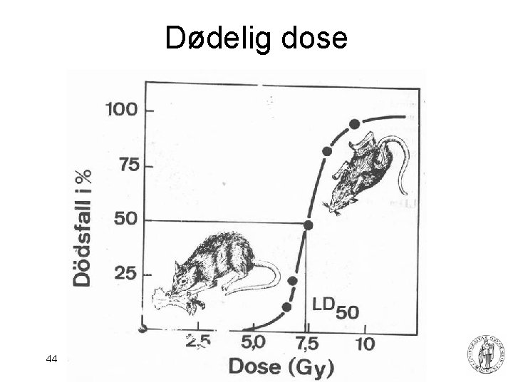 Dødelig dose 44 Fysisk institutt - Rikshospitalet 