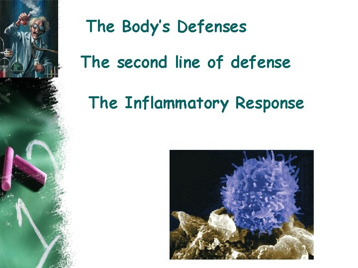 The Body’s Defenses The second line of defense The Inflammatory Response 