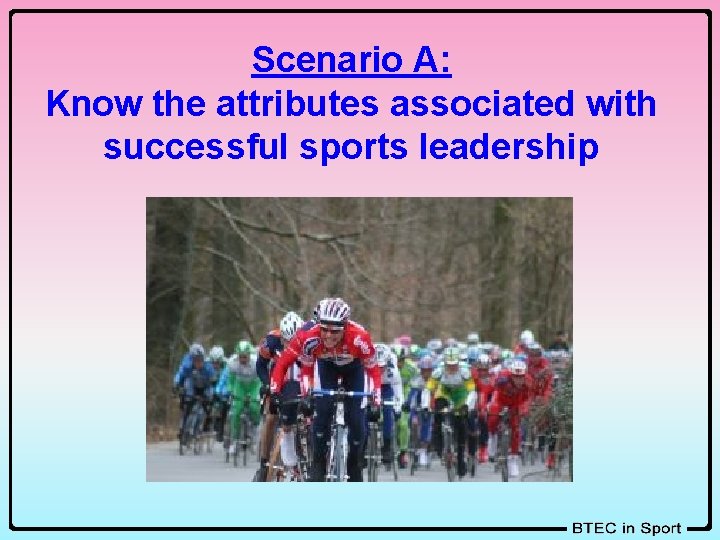 Scenario A: Know the attributes associated with successful sports leadership 