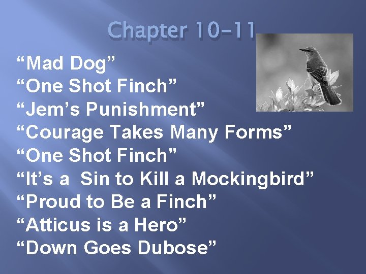 Chapter 10 -11 “Mad Dog” “One Shot Finch” “Jem’s Punishment” “Courage Takes Many Forms”