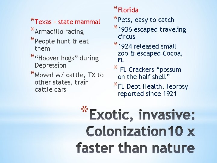 *Texas – state mammal *Armadillo racing *People hunt & eat them *“Hoover hogs” during