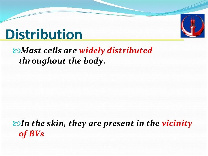 Distribution Mast cells are widely distributed throughout the body. In the skin, they are