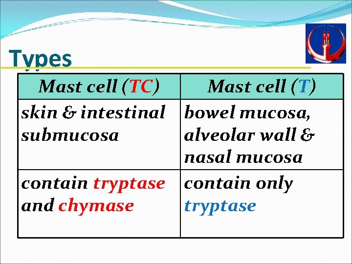 Types Mast cell (TC) Mast cell (T) skin & intestinal bowel mucosa, submucosa alveolar