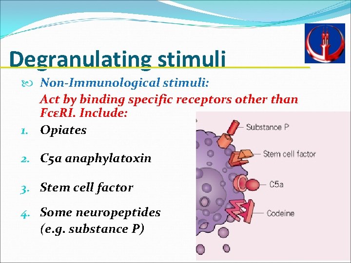 Degranulating stimuli Non-Immunological stimuli: Act by binding specific receptors other than FcεRI. Include: 1.