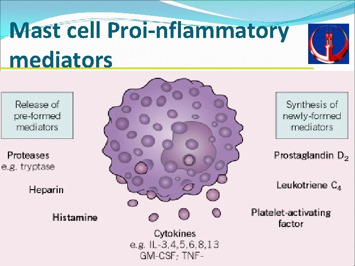 Mast cell Proi-nflammatory mediators 