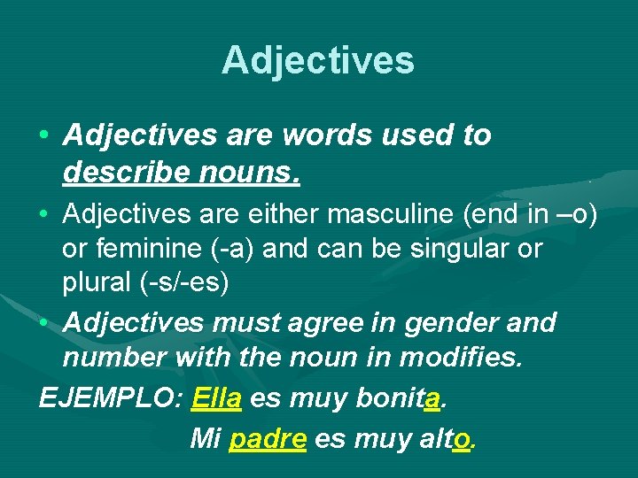 Adjectives • Adjectives are words used to describe nouns. • Adjectives are either masculine