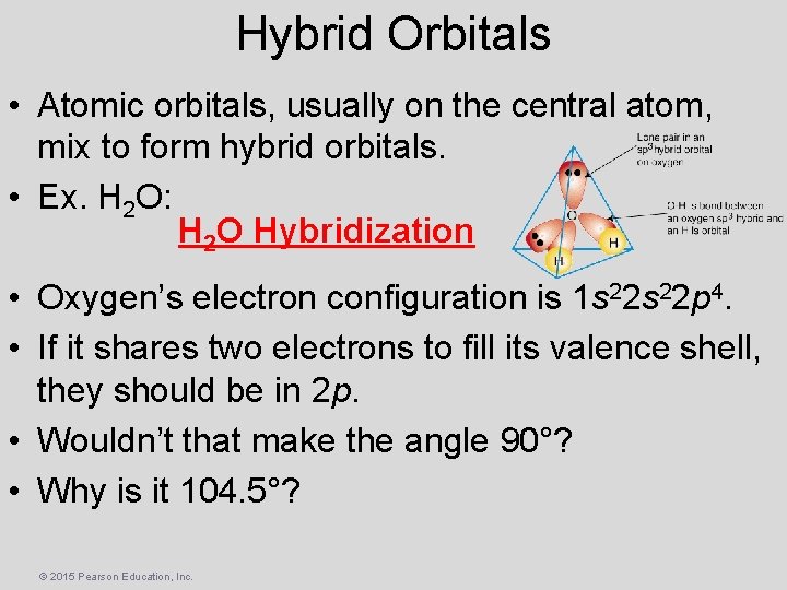 Hybrid Orbitals • Atomic orbitals, usually on the central atom, mix to form hybrid