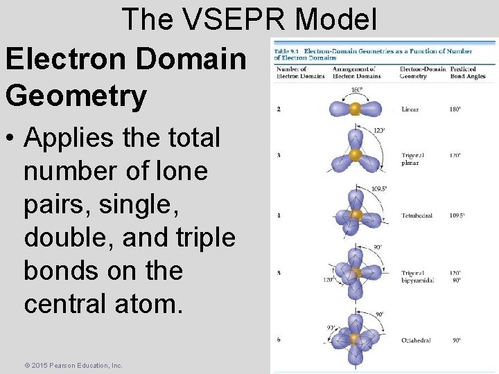 The VSEPR Model Electron Domain Geometry • Applies the total number of lone pairs,