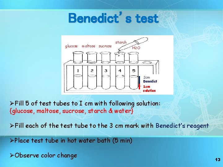 Benedict’s test glucose maltose sucrose starch H 2 O 2 cm Benedict 1 cm
