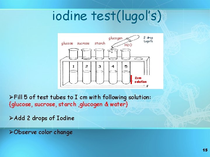 iodine test(lugol’s) glucogen glucose sucrose starch H 2 O 2 drop Lugol’s 2 cm