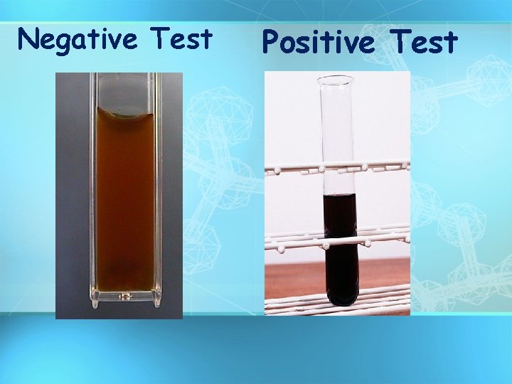 Negative Test Positive Test 