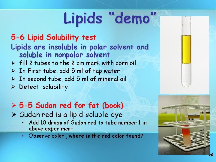 Lipids “demo” 5 -6 Lipid Solubility test Lipids are insoluble in polar solvent and