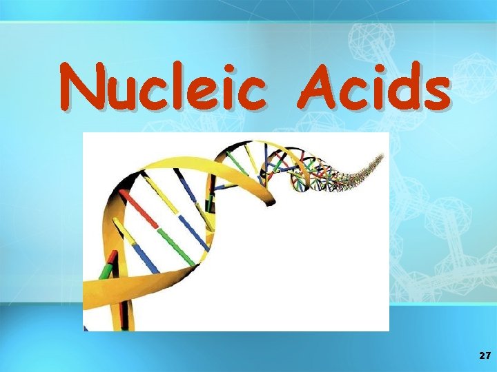 Nucleic Acids 27 