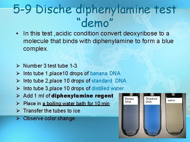 5 -9 Dische diphenylamine test “demo” • In this test , acidic condition convert